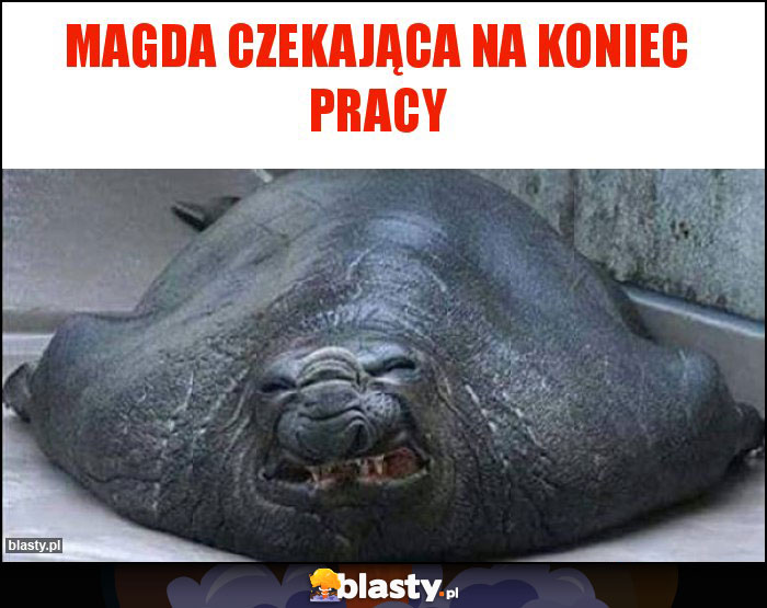 Magda czekająca na koniec pracy