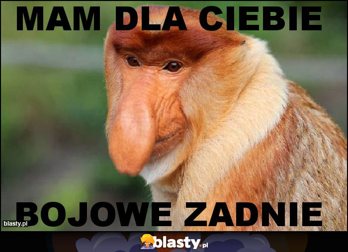 Mam dla ciebie