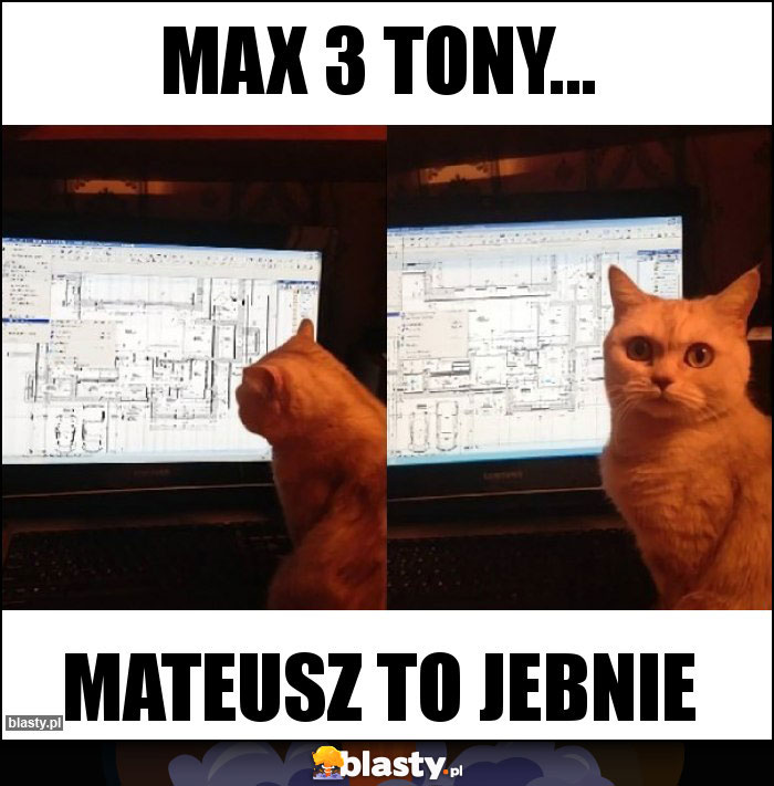Max 3 tony...