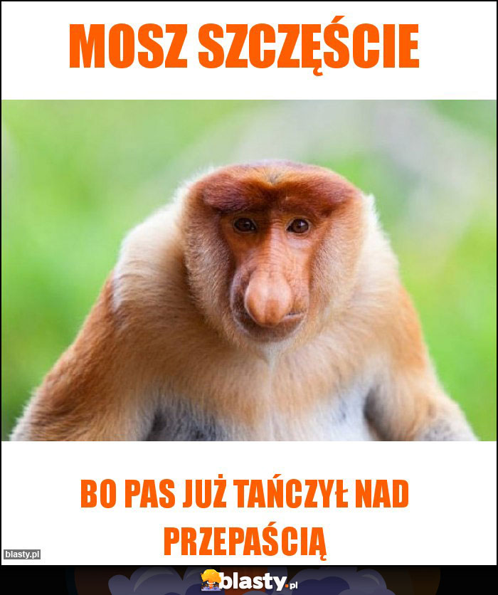 Mosz szczęście