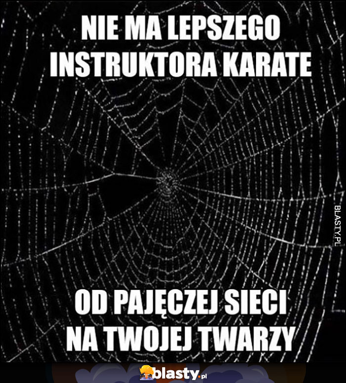 Nie ma lepszego instruktora karate od pajęczej sieci na Twojej twarzy