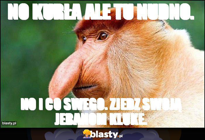 No kurła ale tu nudno.