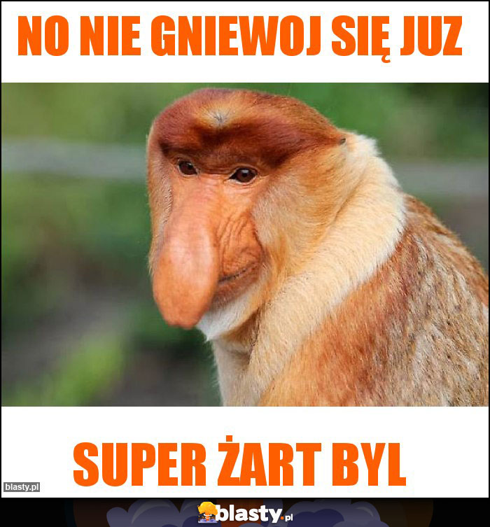 No nie gniewoj się juz