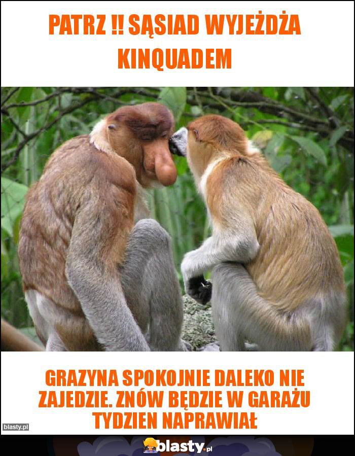 Patrz !! Sąsiad wyjeżdża kinquadem