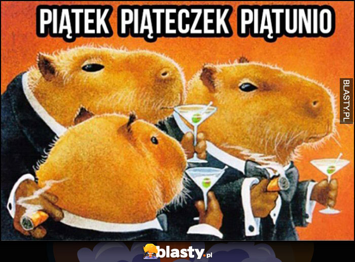 Piątek piąteczek piątunio chomiki