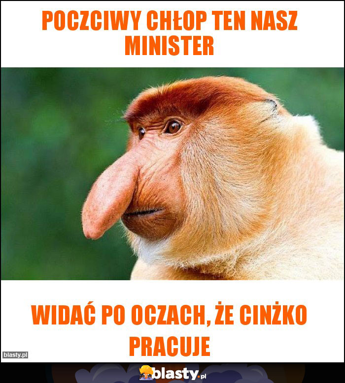 POCZCIWY CHŁOP TEN NASZ MINISTER