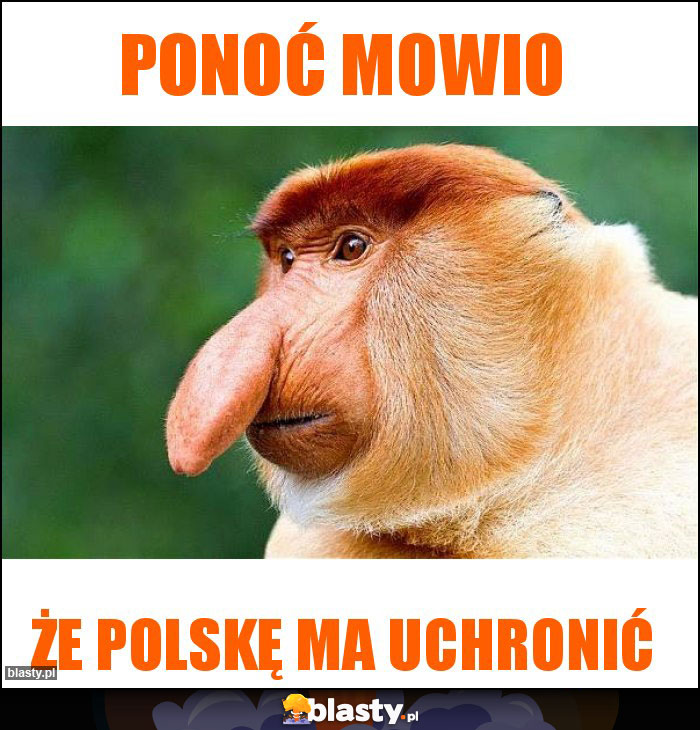 Ponoć MOWIO