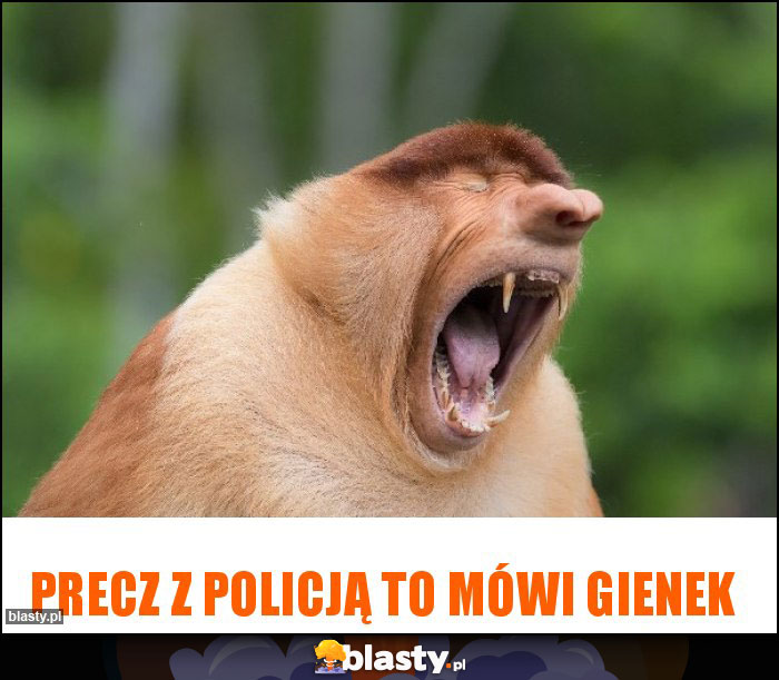 Precz z Policją to mówi Gienek
