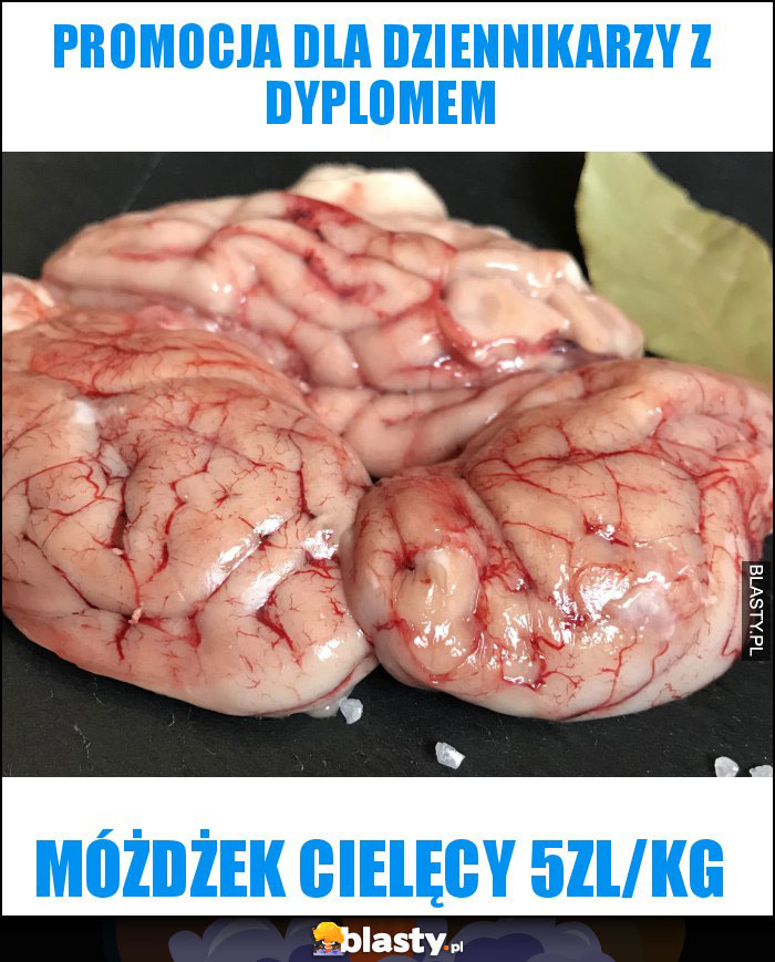 Promocja dla dziennikarzy z dyplomem