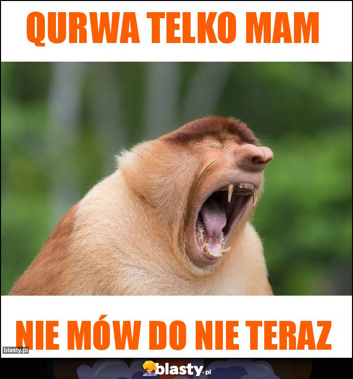 Qurwa telko mam