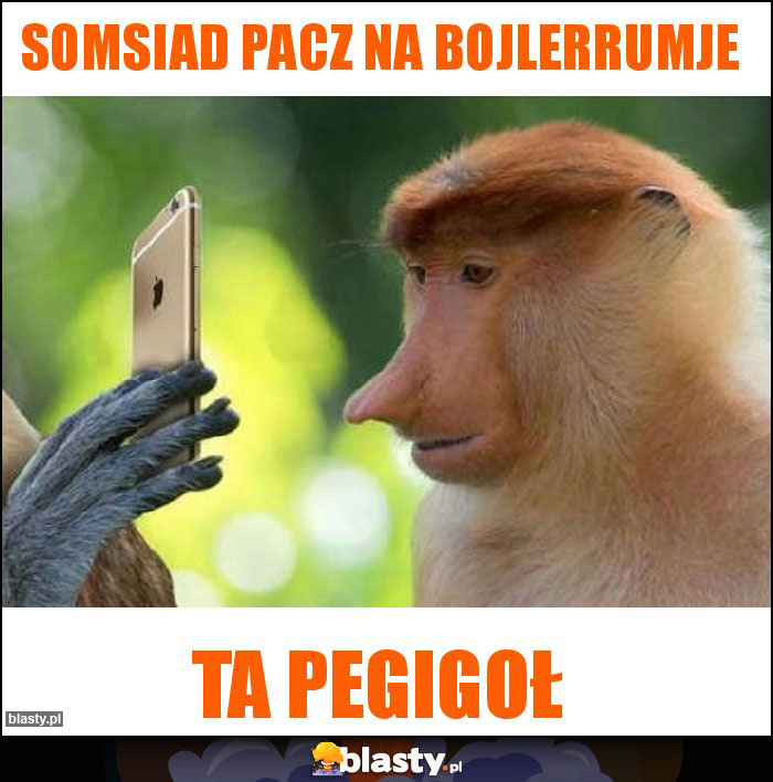 Somsiad pacz na bojlerrumje