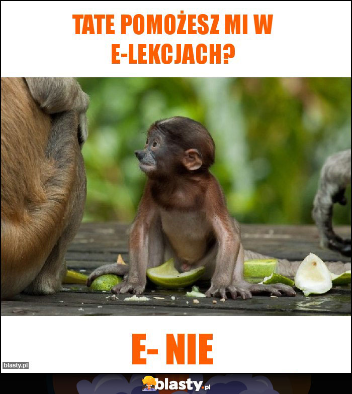 Tate pomożesz mi w e-lekcjach?