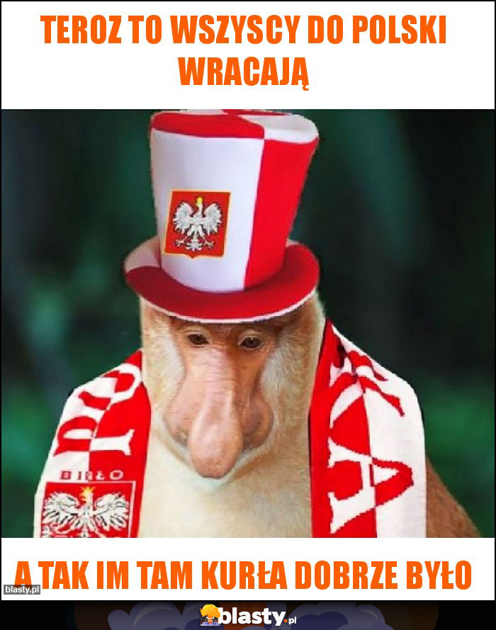 Teroz to wszyscy do polski wracają