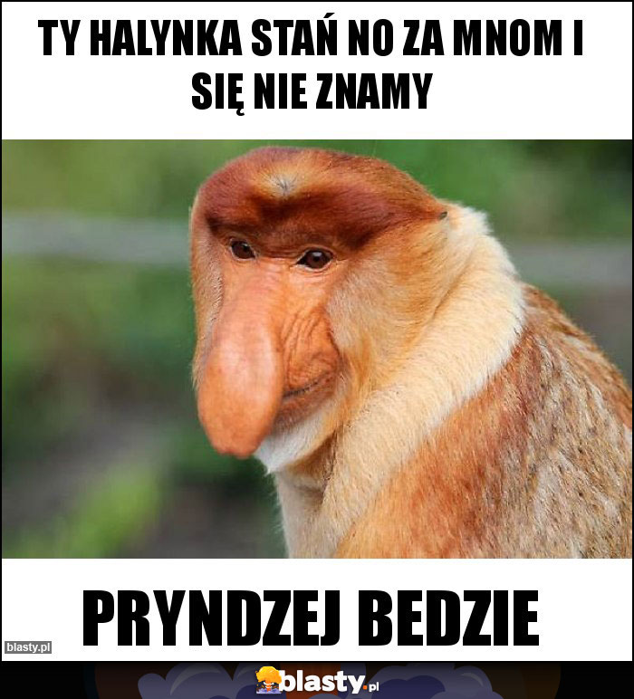 Ty Halynka stań no za mnom i się nie znamy