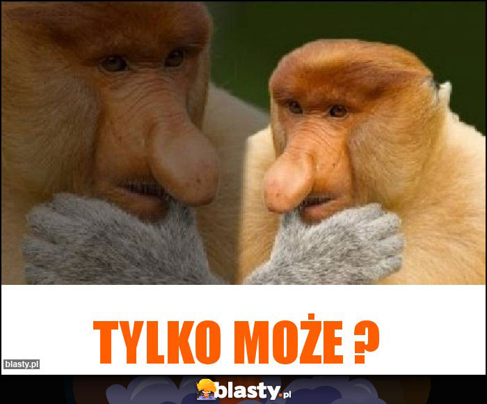 Tylko może ?