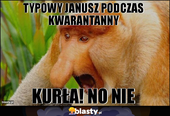 Typowy janusz podczas kwarantanny