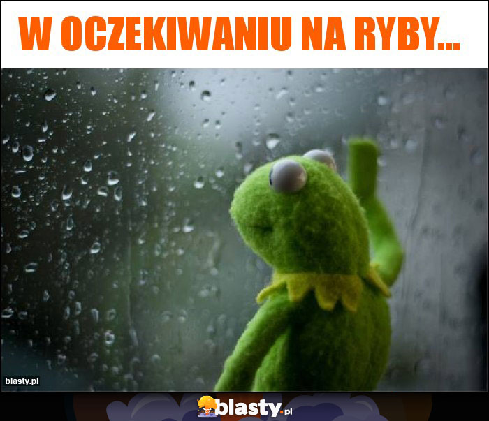 W oczekiwaniu na ryby...