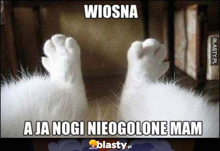 Wiosna a ja nogi nieogolone mam kot