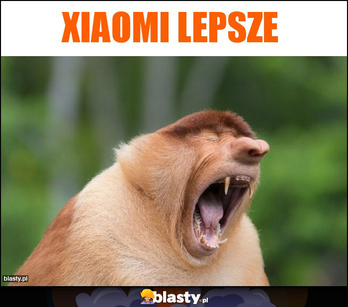XIAOMI LEPSZE
