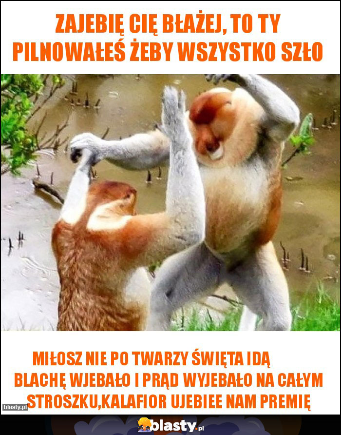 Zajebię cię Błażej, to ty pilnowałeś żeby wszystko szło
