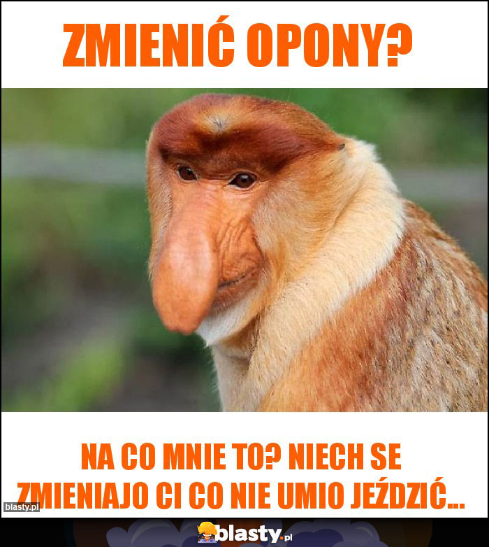 Zmienić opony?