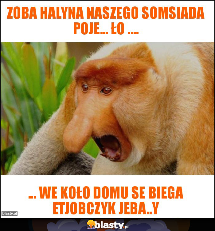 Zoba Halyna naszego somsiada poje... ło ....