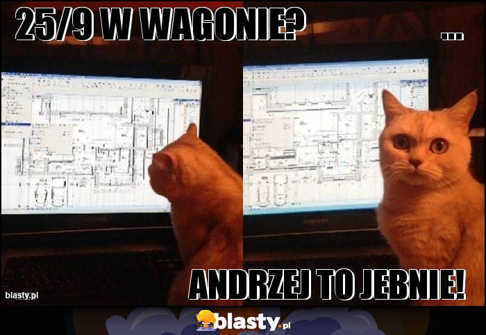 25/9 w wagonie?                   ...