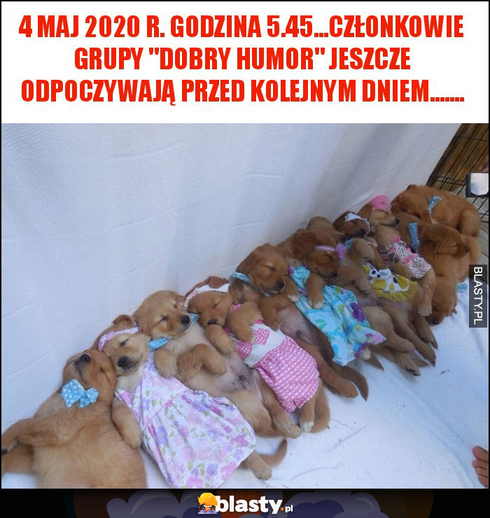 4 maj 2020 r. godzina 5.45...członkowie grupy 