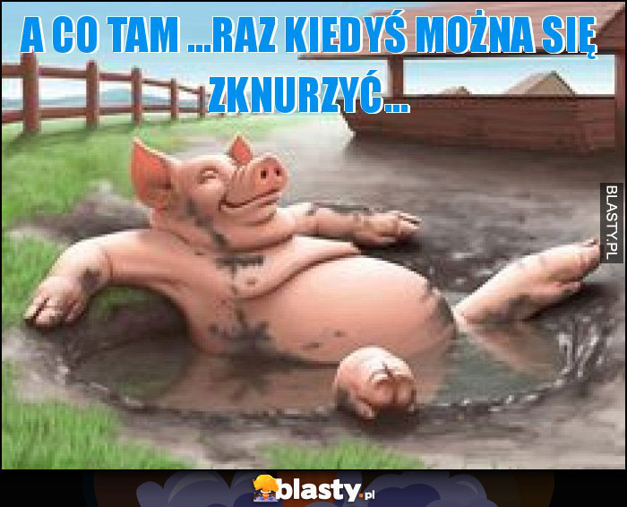 A CO TAM ...RAZ KIEDYŚ MOŻNA SIĘ ZKNURZYĆ...