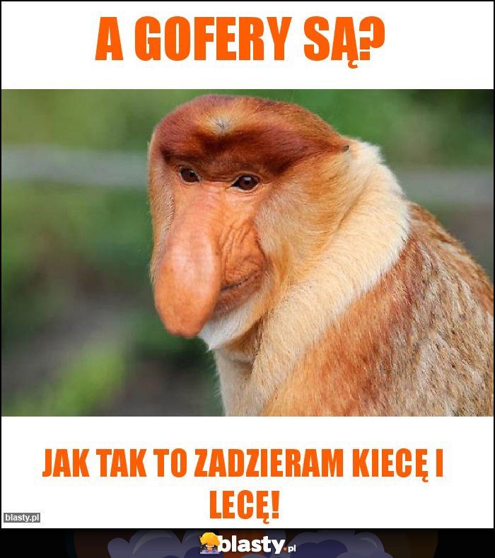 A gofery są?