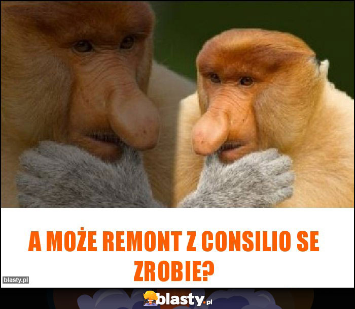 A może remont z consilio se zrobie?