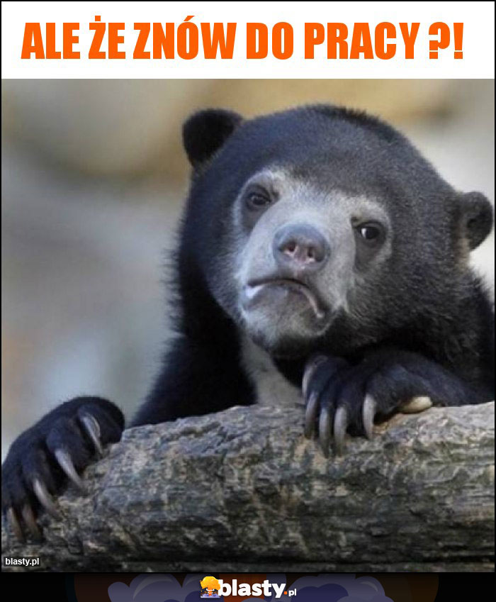 Ale że znów do pracy ?!
