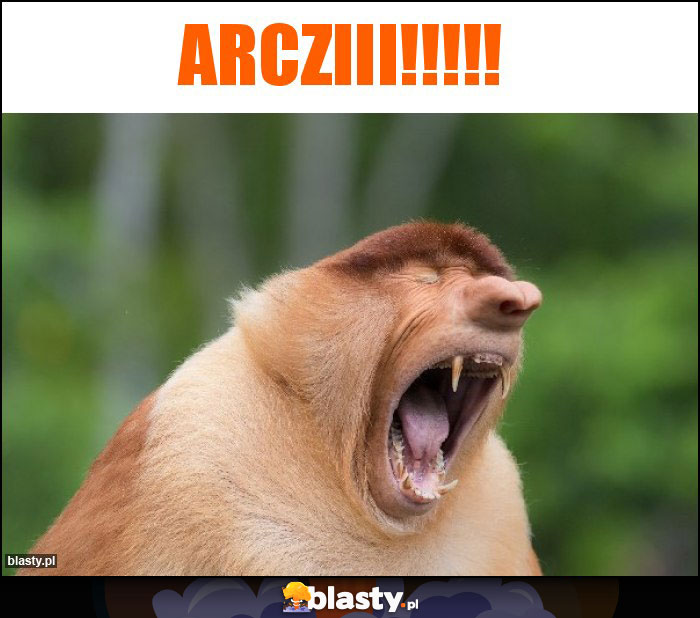 Arcziii!!!!!