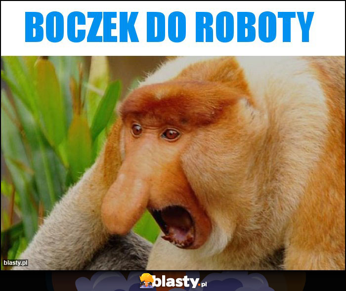 Boczek do roboty
