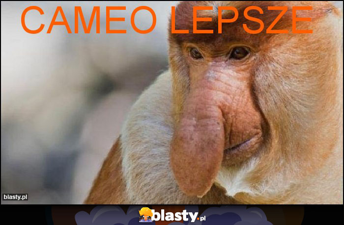 Cameo lepsze