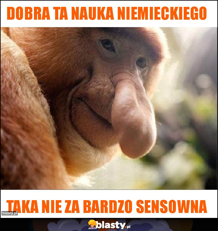 Dobra ta nauka niemieckiego