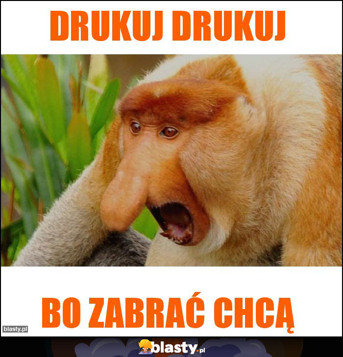 Drukuj drukuj