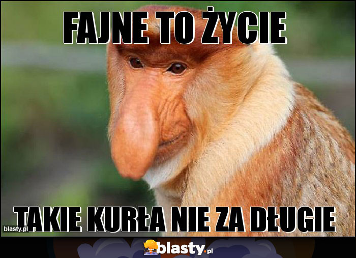 Fajne to życie