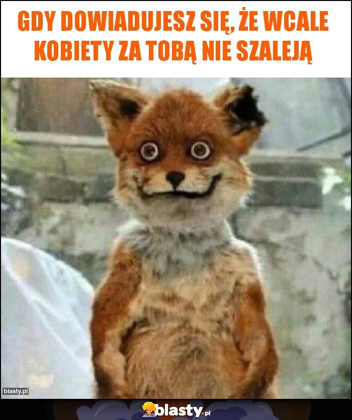 Gdy dowiadujesz się, że wcale kobiety za tobą nie szaleją