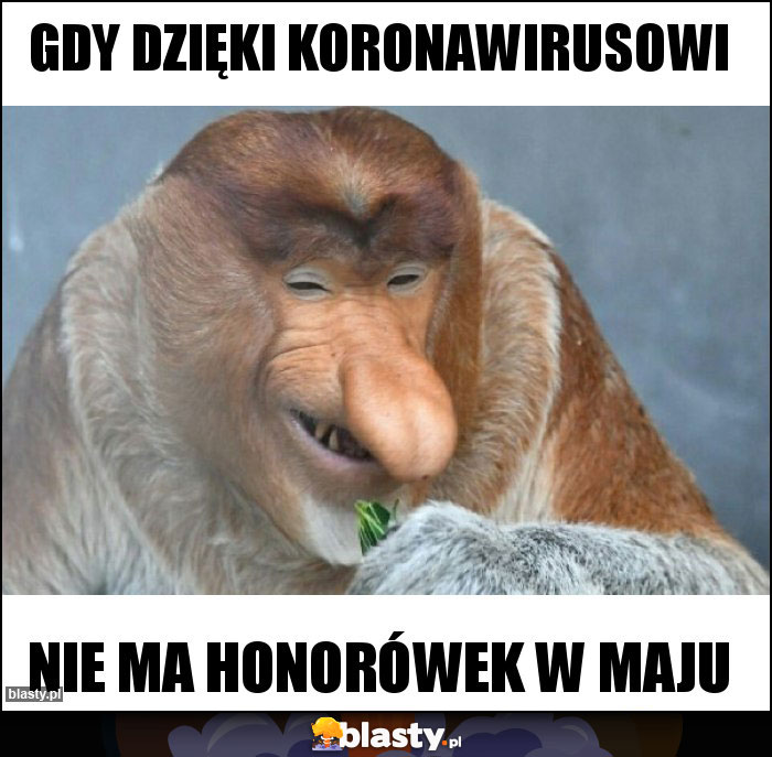 Gdy dzięki koronawirusowi