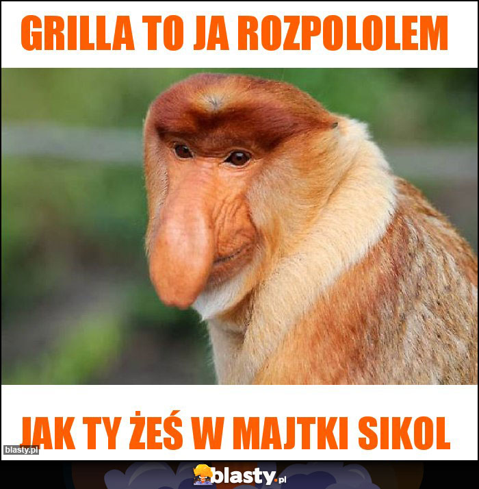 Grilla to ja rozpololem