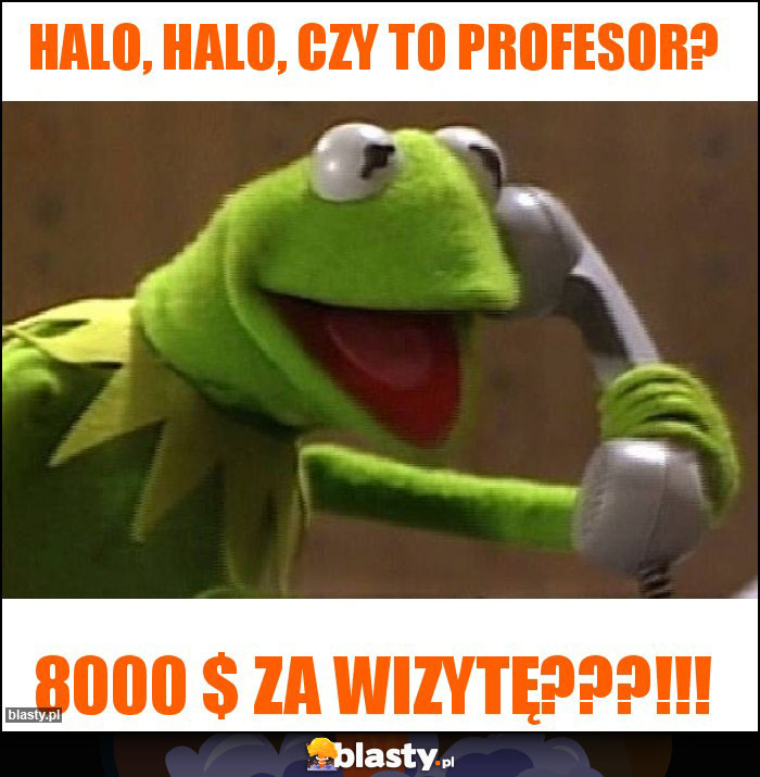 Halo, halo, czy to profesor?