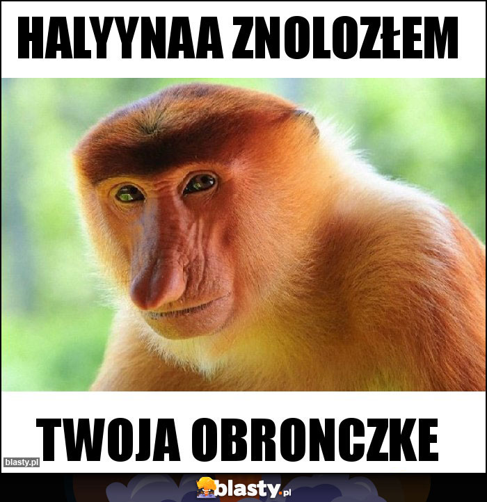 HALYYNAA ZNOLOZŁEM