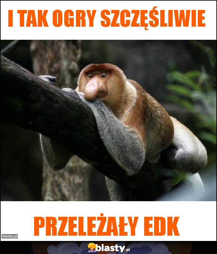 I tak ogry szczęśliwie