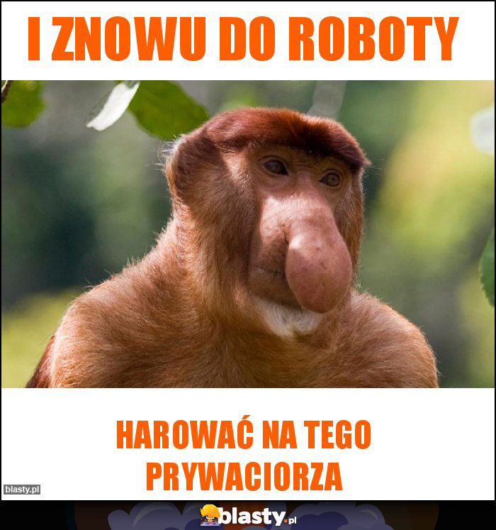 I znowu do roboty