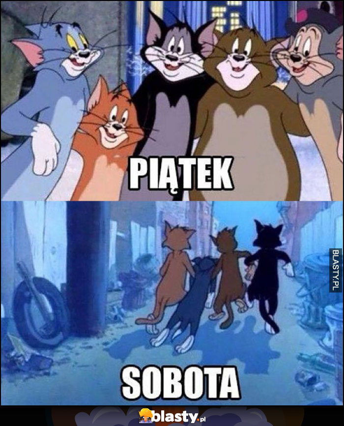 Impreza piątek vs sobota porównianie bajka Tom i Jerry