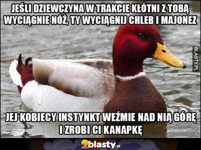 Jeśli dziewczyna w trakcie kłótni wyciągnie nóż, Ty wyciągnij chleb i majonez, jej kobiecy instynkt weźmie nad nią górę i zrobi Ci kanapkę kaczka