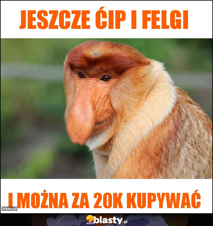 Jeszcze ćip i felgi