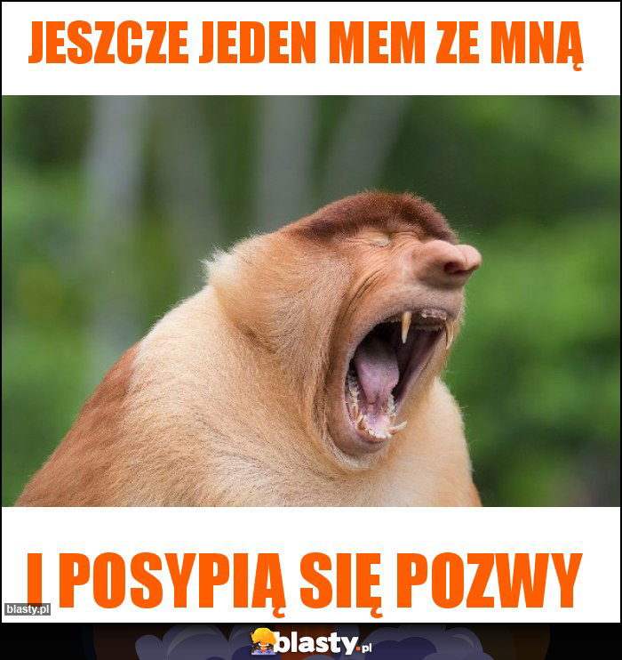 Jeszcze jeden mem ze mną