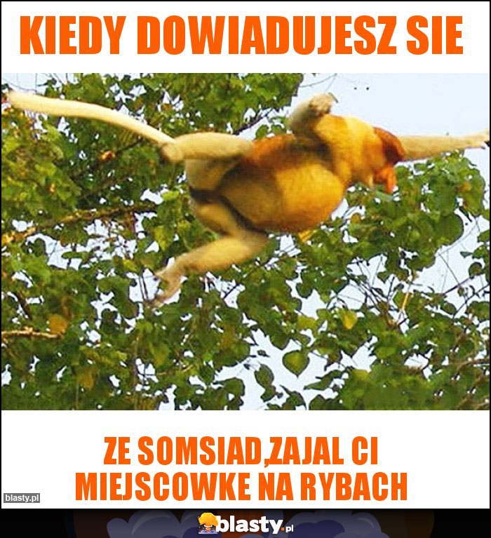 Kiedy dowiadujesz sie
